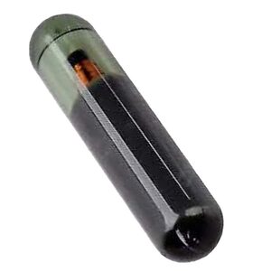 ID48 Silca Glass Cloning Transponder Chip