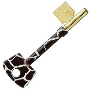 Animal Print Pattern Design Mortice Key Suitable For ERA Fortress Mortice Locks