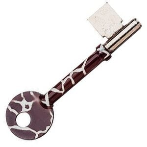 Animal Print Design Mortice Key Suitable For Union 436  Mortice Locks