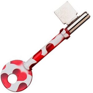 Heart Print Mortice Key Suitable For Union 436  Mortice Locks