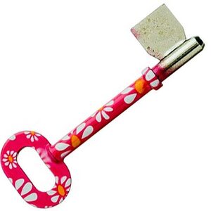 Pink Flower Print Design Mortice Key Suitable For Legge B460 Mortice Locks