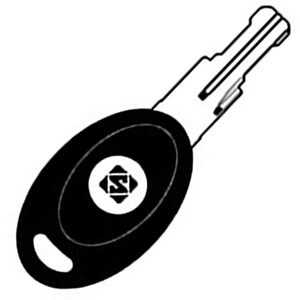 Trimark Caravan TM1R Plastic Head Caravan Non-Transponder Key Blank - Cut From Image Upload or Key Code