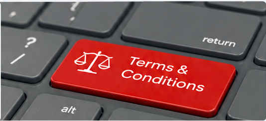 B2B Terms and Conditions